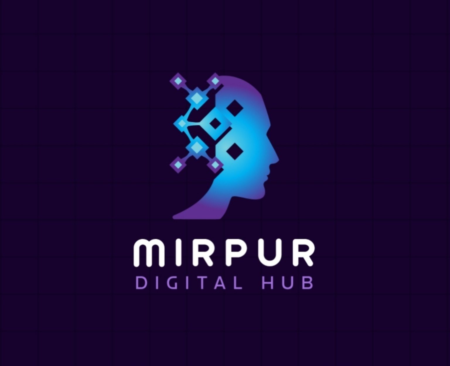Mirpur Digital Hub